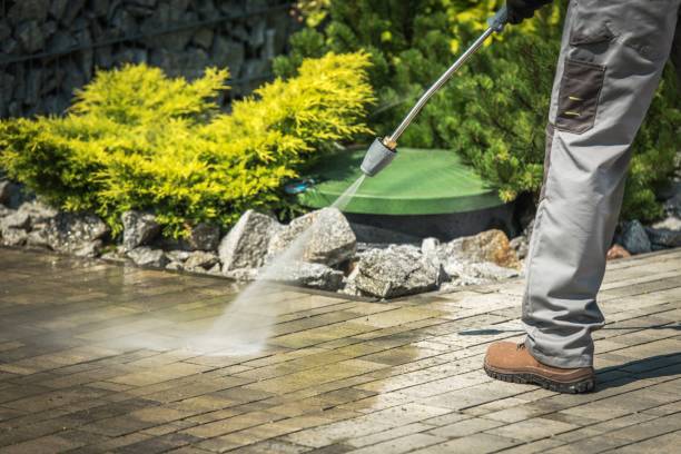 Best Roof Washing  in Ivyland, PA