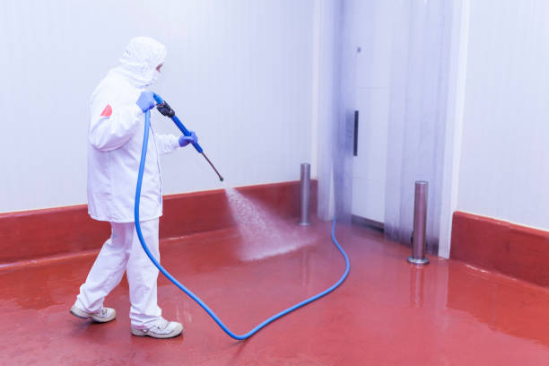 Best Graffiti Removal  in Ivyland, PA